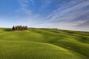 Iconic cypresses in Torrenieri country, Orcia valley, Tuscany, Italy