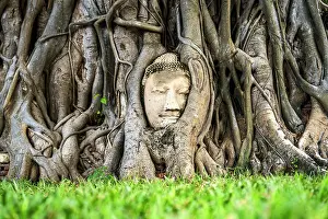 Iconic head of a Buddha statue held between the roots of a tree at Wat Mahathat temple in Ayutthaya, Thailand