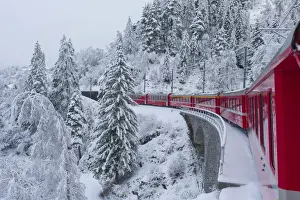 Iconic swiss red Bernina Express train in winter landscape and pristine snow. Swizerland