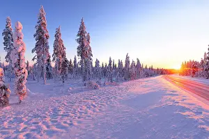 Road Trip Prints: Icy road in the snowy forest brightly lit by the ethereal warm lights of the arctic sunset