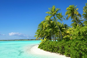 Society Islands Prints: Idyllic beach scene with palm trees