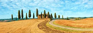 Farmhouse Prints: Idyllic farmhouse surrounded by cypress trees in the Tuscan countryside