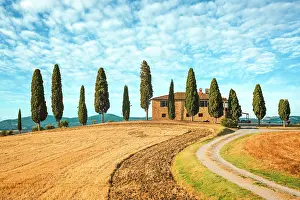 Farmhouse Prints: Idyllic farmhouse surrounded by cypress trees in the Tuscan countryside