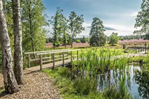 Lower Saxony Prints: Idyllic hiking trail at the fairy ponds in the Buesenbachtal nature reserve near Handeloh