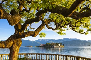 Images Dated 2015 May: 9 May 2015 Collection
