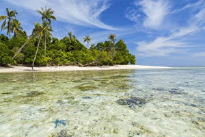 Images Dated 1st June 2015: Idyllic tropical beach & starfish, nr Semporna, Sabah, Borneo, Malaysia
