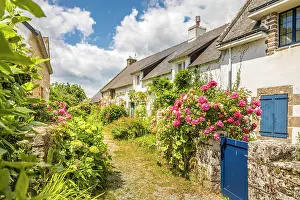 Village Street Prints: Idyllic village alley on the Ile-aux-Moines in the Gulf of Morbihan