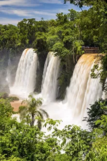 Cascading Collection: Iguazu Falls, Argentina, South America