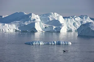 Danish Territory Prints: Ilulissat icefjord, Ilulissat, Greenland