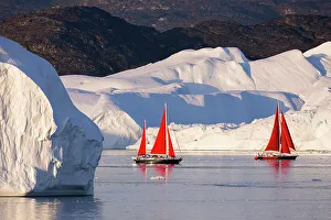 Polar Region Prints: Ilulissat icefjord, Ilulissat, Greenland