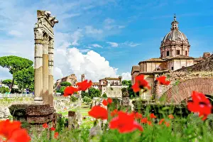 Latium Prints: Imperial Forums framed by red flowers in bloom at springtime, Rome, Italy