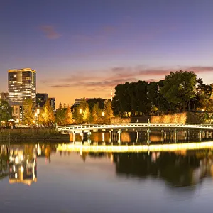 Grounds Prints: Imperial Palace and Wadakuramon Gate at dusk, Tokyo, Japan