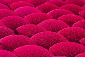 Incense sticks drying in the sun, Hung Yen province, Vietnam