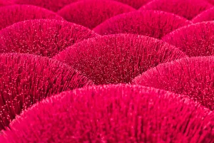Images Dated 16th April 2019: Incense sticks drying in the sun, Hung Yen province, Vietnam