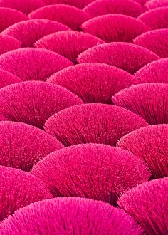 Incense sticks drying in the sun, Hung Yen province, Vietnam