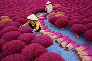 Worker Gallery: Incense workers sits surrounded by thousands of incense sticks in Quang Phu Cau, Hanoi