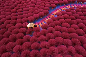 Images Dated 19th January 2021: Incense workers sits surrounded by thousands of incense sticks in Quang Phu Cau, Hanoi