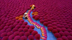 Incense workers sits surrounded by thousands of incense sticks in Quang Phu Cau, Hanoi