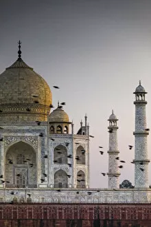 Images Dated 7th February 2018: India, birds flock in front the Taj Mahal dome at sunset