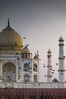 Images Dated 7th February 2018: India, birds flock in front the Taj Mahal dome at sunset