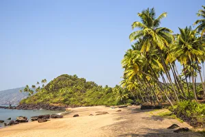 India, Goa, Cola beach
