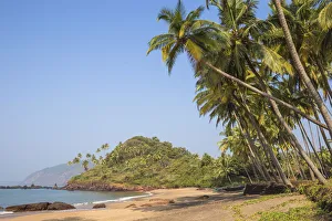 Images Dated 26th March 2018: India, Goa, Cola beach