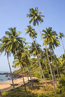 Images Dated 26th March 2018: India, Goa, Cola beach