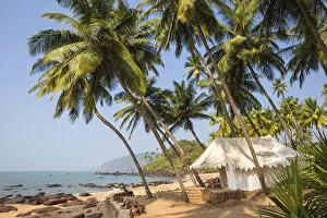 India, Goa, Cola beach, Cola Beach Exclusive Tented Resort
