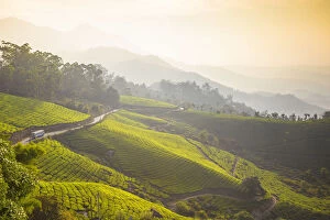 India, Kerala, Munnar, Road winding through Munnar tea estates
