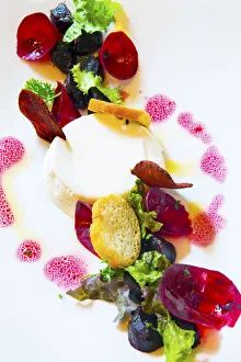Images Dated 6th February 2014: India, Maharashtra, Mumbai, Indigo restaurant, Baby Beets Horseradish Pana Cotta