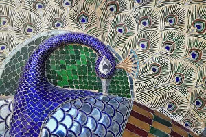 Images Dated 13th January 2014: India, Rajasthan, Udaipur, City Palace Complex, detail of peacock mosaics