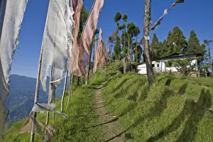 Northern India Gallery: India, Sikkim, Pelling, Sangachoeling Gompa, the second oldest Gompa in Sikkim