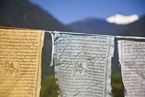Images Dated 16th December 2008: India, Sikkim, Yuksom - Yuksam, Prayer flags and Kanchenjunga