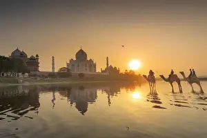 India Prints: India, the Taj Mahal mausoleum reflecting in the Yamuna river at sunset