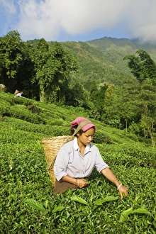 India, West Bengal