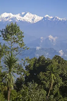 India, West Bengal, Darjeeling, Kanchenjunga from Shrubberry Nightingale Park