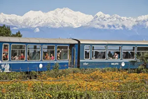 India, West Bengal, Darjeeling, Batasia Loop, Diesel train known as the Toy Train