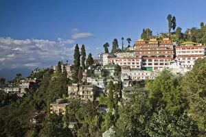 Images Dated 13th January 2009: India, West Bengal, Darjeeling, Druk Sangag Choeling Monastery (Dali Monastery)