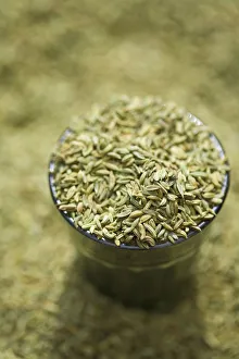 Northern India Gallery: India, West Bengal, Darjeeling, Market, Spices