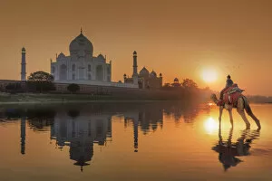India, woman crossing the Yamuna river on a camel with the Taj Mahal reflecting in