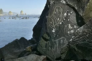 Images Dated 6th December 2012: Indian Carvings on Rocks at Cape Alava, Olympic National Park, Clallam County, Washington