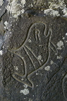 Images Dated 6th December 2012: Indian Carvings on Rocks at Cape Alava, Olympic National Park, Clallam County, Washington