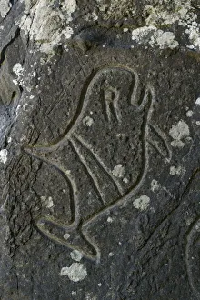 Rock Art Gallery: Indian Carvings on Rocks at Cape Alava, Olympic National Park, Clallam County, Washington