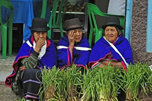 Images Dated 28th June 2012: Indian women at a market in Silvia, Guambiano Indians, Colombia, South America