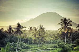 Indonesia, Bali, East Bali, Amlapura, Rice Fields and Gunung Agung Volcano
