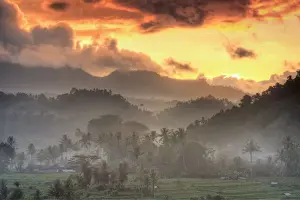 Sidemen Prints: Indonesia, Bali, forest landscape on the slopes of Gunung Agung Volcano