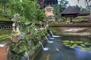 Hot Springs Prints: Indonesia, Bali, the Holy Springs at Pura Gunung Kawi Sebatu Temple