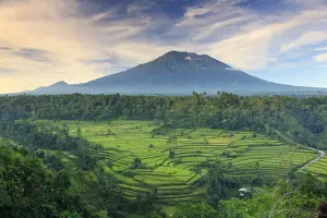 Agung Volcano Prints: Indonesia, Bali, Redang, View of Rice Terraces and Gunung Agung Volcano