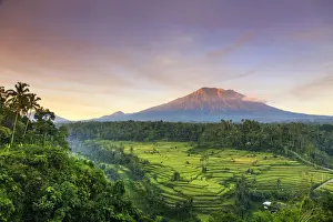 Volcano Prints: Indonesia, Bali, Redang, View of Rice Terraces and Gunung Agung Volcano