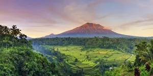 Volcano Prints: Indonesia, Bali, Redang, View of Rice Terraces and Gunung Agung Volcano